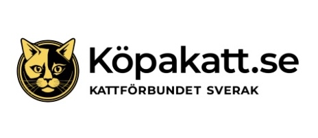 Köpa katt